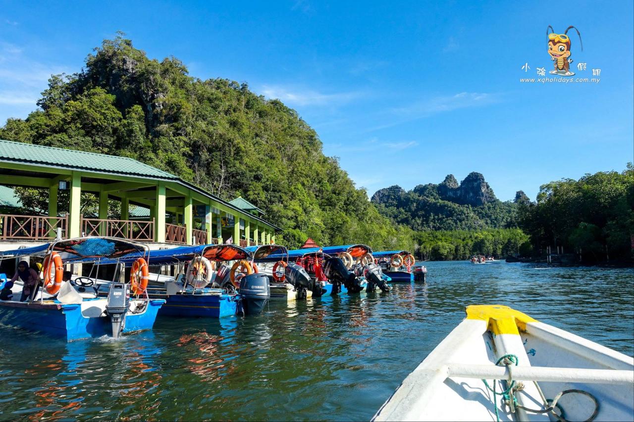 Jelajahi Mangrove Langkawi: Tur Ekosistem Unik